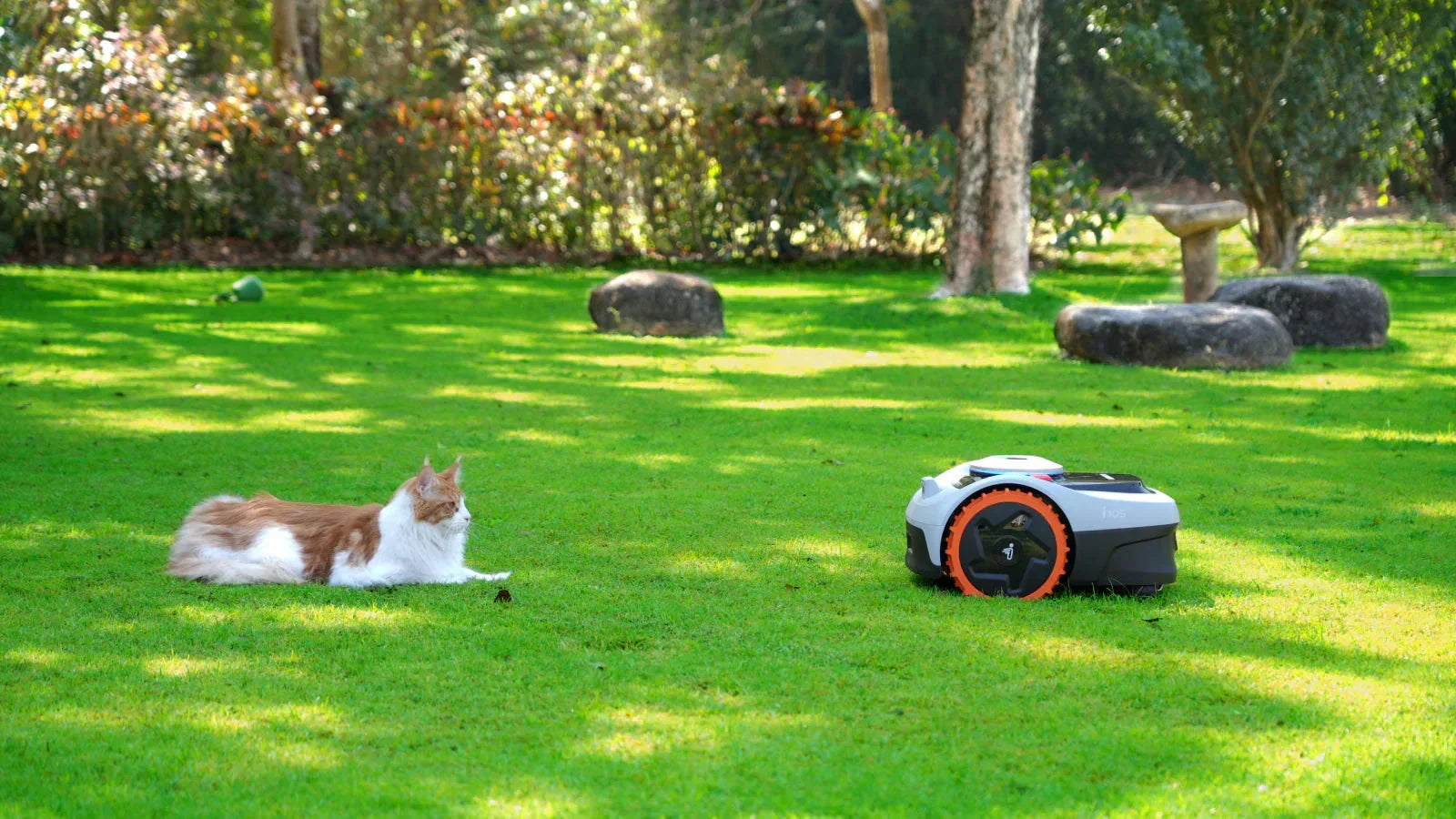 Een kat ligt ontspannen op het gras terwijl een Navimow robotmaaier dankzij VisionFence technologie veilig op afstand blijft.