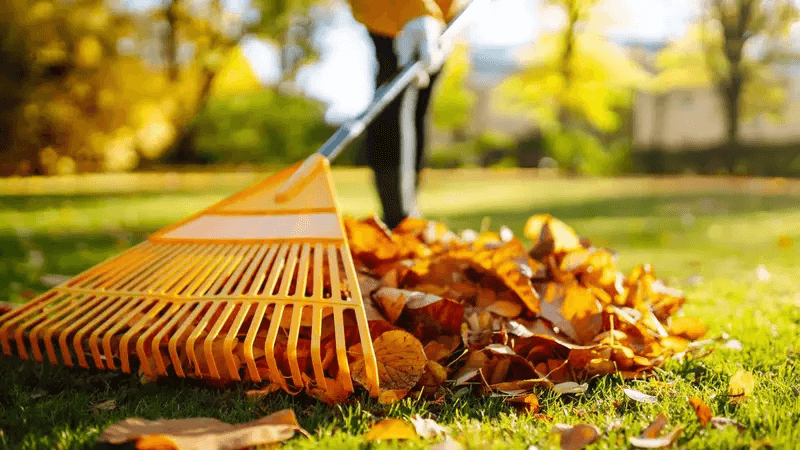 Robotic lawnmower winter break – when is the right time?