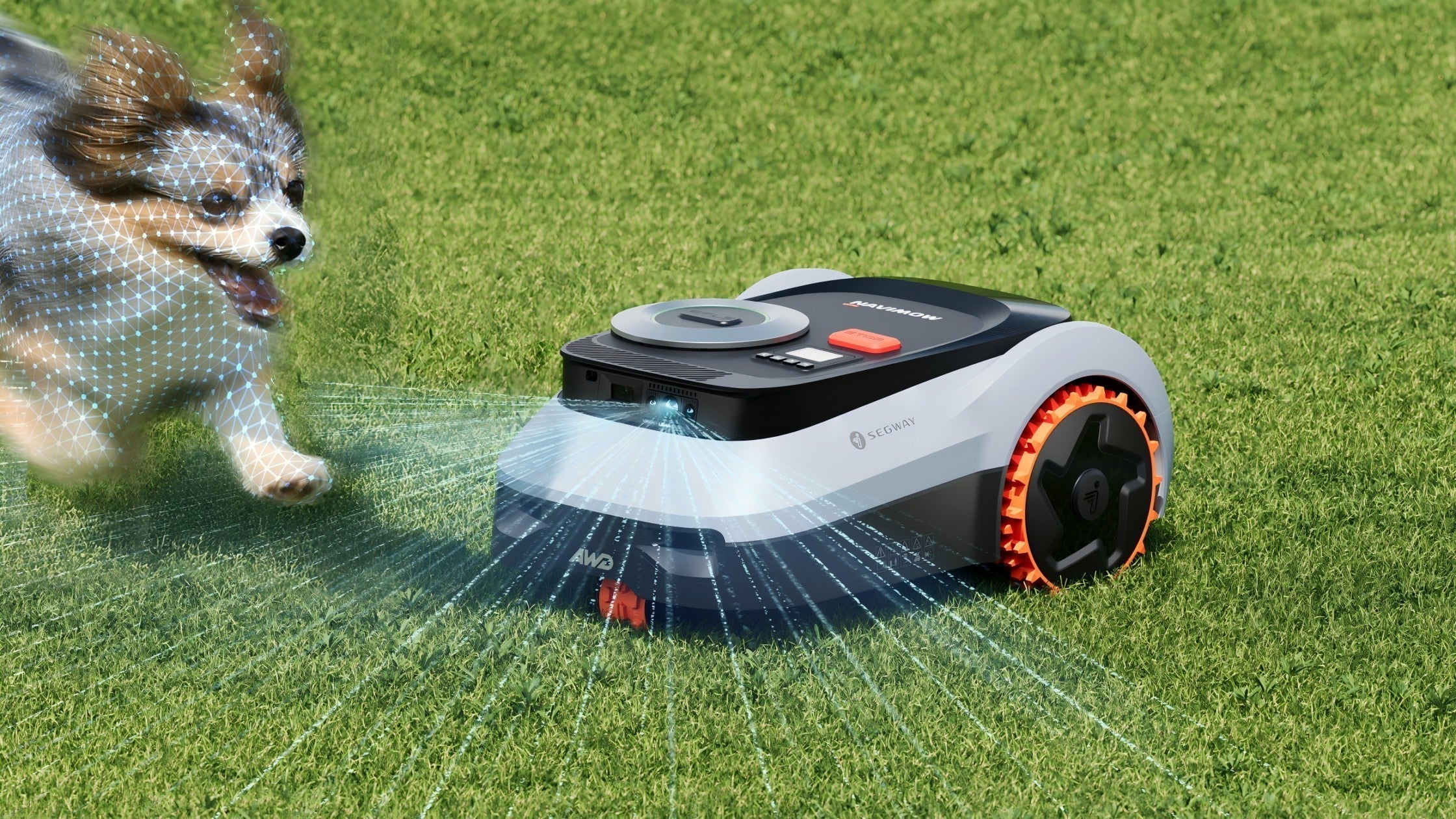Een Navimow i2 LiDAR Pro robotmaaier die een strak gazon onderhoudt in een zonnige Nederlandse tuin.