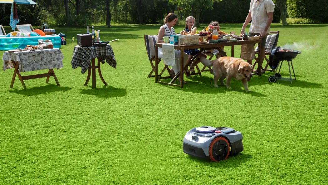 Gras maaien in de zon: slim of slecht voor je gazon?
