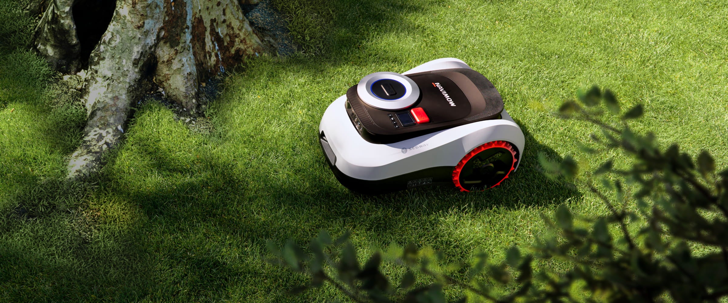Segway Navimow robotmaaier op het gras bij een grote boom.