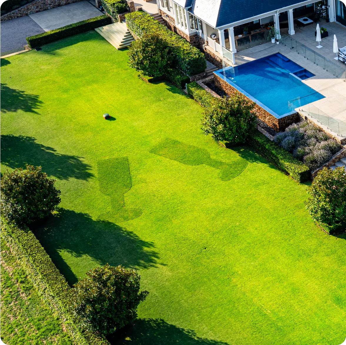 Get Creative with Doodle